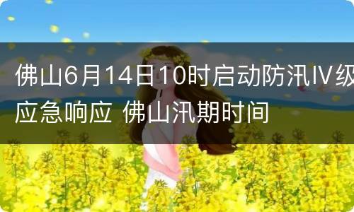 佛山6月14日10时启动防汛Ⅳ级应急响应 佛山汛期时间