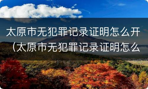 太原市无犯罪记录证明怎么开（太原市无犯罪记录证明怎么开具）