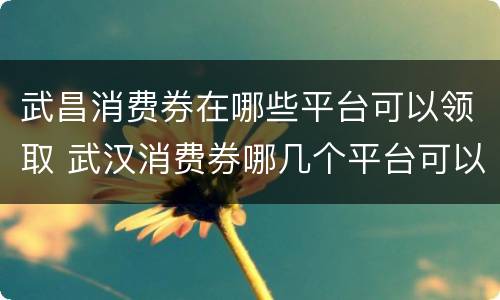 武昌消费券在哪些平台可以领取 武汉消费券哪几个平台可以领