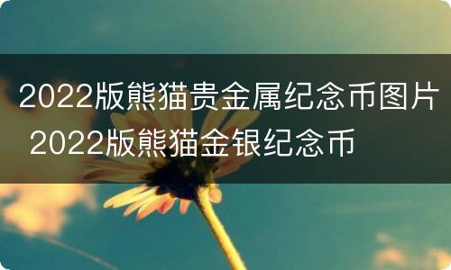 2022版熊猫贵金属纪念币图片 2022版熊猫金银纪念币