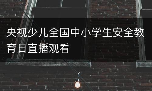 央视少儿全国中小学生安全教育日直播观看