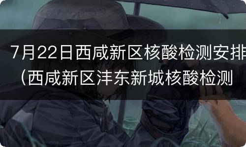 7月22日西咸新区核酸检测安排（西咸新区沣东新城核酸检测点）