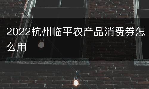 2022杭州临平农产品消费券怎么用