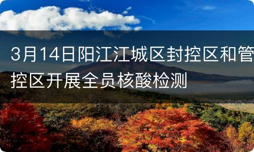 3月14日阳江江城区封控区和管控区开展全员核酸检测