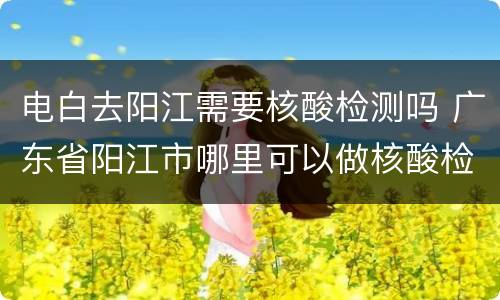 电白去阳江需要核酸检测吗 广东省阳江市哪里可以做核酸检测
