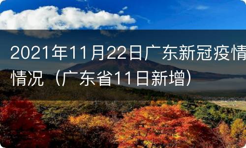 2021年11月22日广东新冠疫情情况（广东省11日新增）