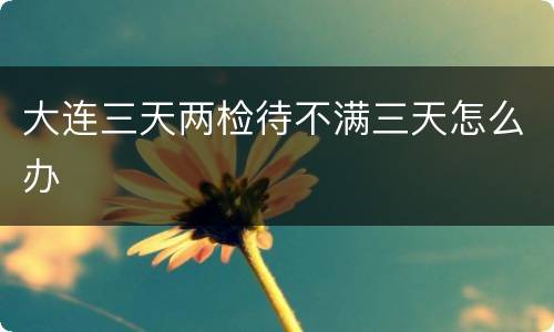 大连三天两检待不满三天怎么办