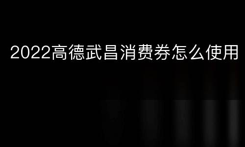 2022高德武昌消费券怎么使用