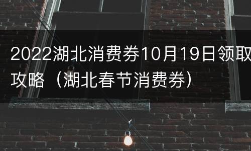 2022湖北消费券10月19日领取攻略（湖北春节消费券）