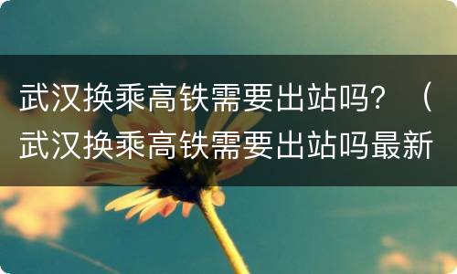 武汉换乘高铁需要出站吗？（武汉换乘高铁需要出站吗最新消息）