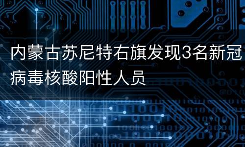 内蒙古苏尼特右旗发现3名新冠病毒核酸阳性人员