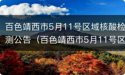 百色靖西市5月11号区域核酸检测公告（百色靖西市5月11号区域核酸检测公告查询）