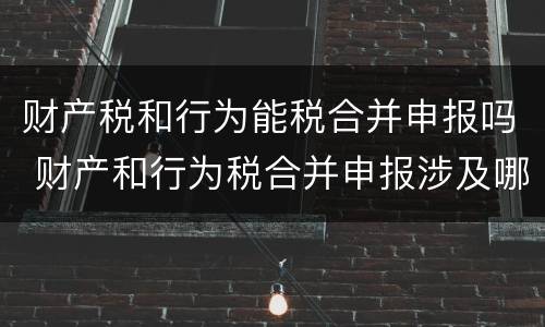 财产税和行为能税合并申报吗 财产和行为税合并申报涉及哪个税种