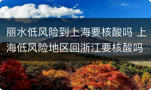 丽水低风险到上海要核酸吗 上海低风险地区回浙江要核酸吗