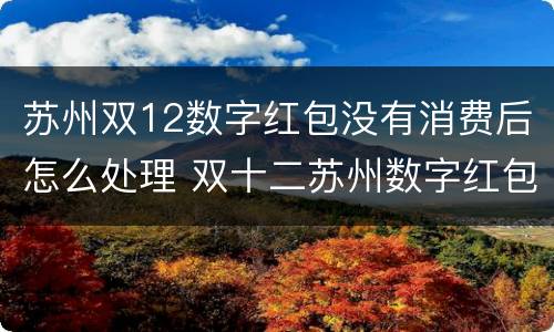 苏州双12数字红包没有消费后怎么处理 双十二苏州数字红包