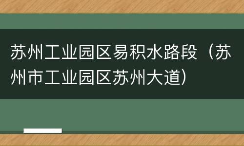 苏州工业园区易积水路段（苏州市工业园区苏州大道）