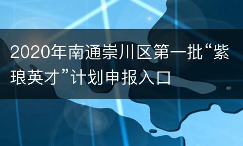 2020年南通崇川区第一批“紫琅英才”计划申报入口