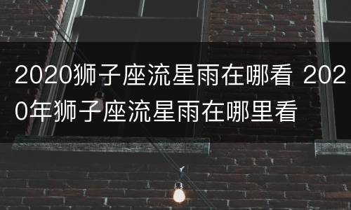 2020狮子座流星雨在哪看 2020年狮子座流星雨在哪里看