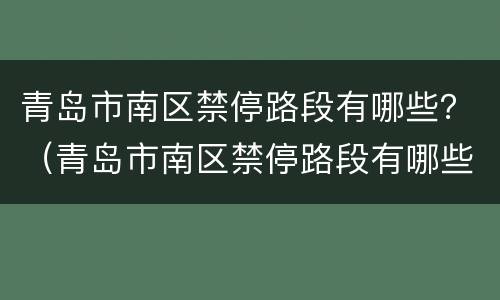 青岛市南区禁停路段有哪些？（青岛市南区禁停路段有哪些规定）