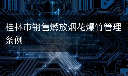 桂林市销售燃放烟花爆竹管理条例