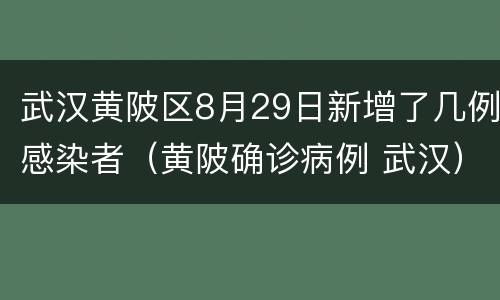 武汉黄陂区8月29日新增了几例感染者（黄陂确诊病例 武汉）