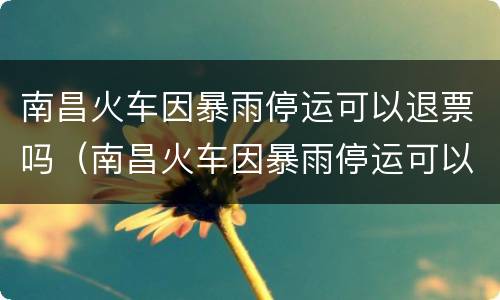 南昌火车因暴雨停运可以退票吗（南昌火车因暴雨停运可以退票吗最新消息）
