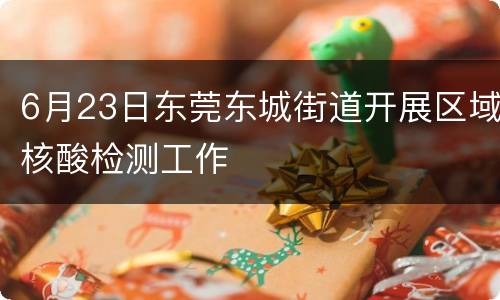 6月23日东莞东城街道开展区域核酸检测工作