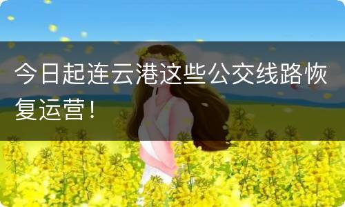今日起连云港这些公交线路恢复运营！