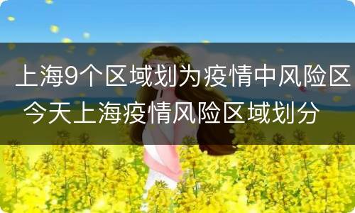 上海9个区域划为疫情中风险区 今天上海疫情风险区域划分