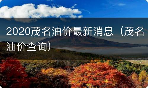 2020茂名油价最新消息（茂名油价查询）