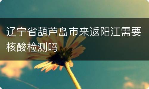 辽宁省葫芦岛市来返阳江需要核酸检测吗