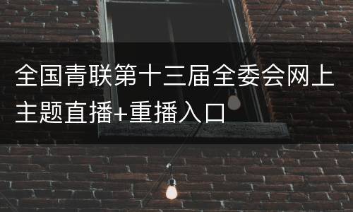 全国青联第十三届全委会网上主题直播+重播入口