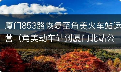 厦门853路恢复至角美火车站运营（角美动车站到厦门北站公交车980有恢复运行吗?）