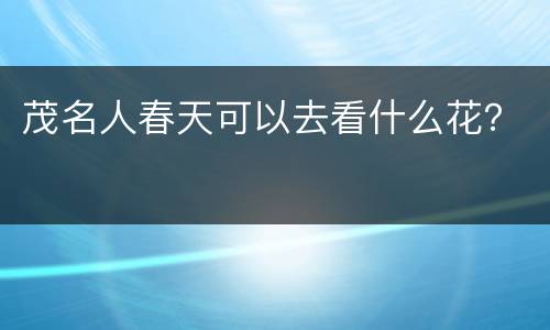 茂名人春天可以去看什么花？