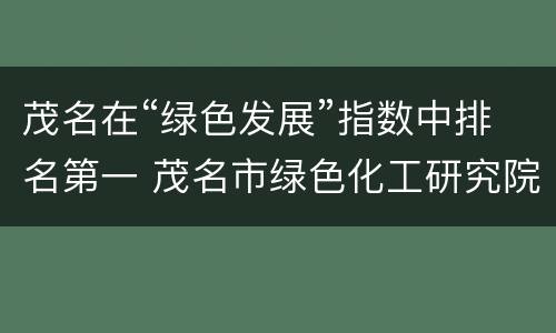 茂名在“绿色发展”指数中排名第一 茂名市绿色化工研究院