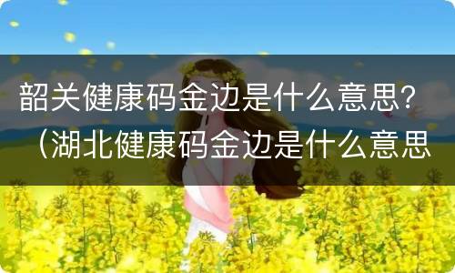 韶关健康码金边是什么意思？（湖北健康码金边是什么意思）