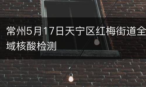 常州5月17日天宁区红梅街道全域核酸检测