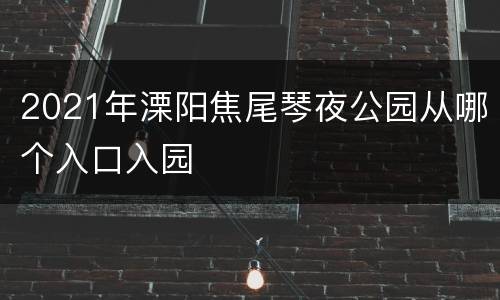 2021年溧阳焦尾琴夜公园从哪个入口入园