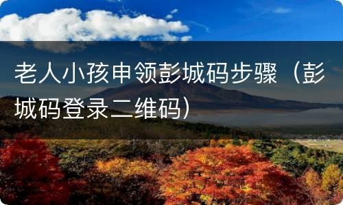老人小孩申领彭城码步骤（彭城码登录二维码）