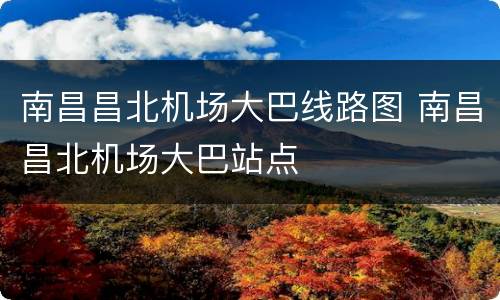 南昌昌北机场大巴线路图 南昌昌北机场大巴站点