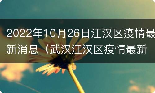 2022年10月26日江汉区疫情最新消息（武汉江汉区疫情最新消息）