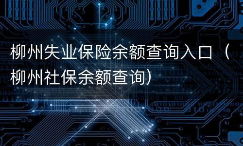 柳州失业保险余额查询入口（柳州社保余额查询）