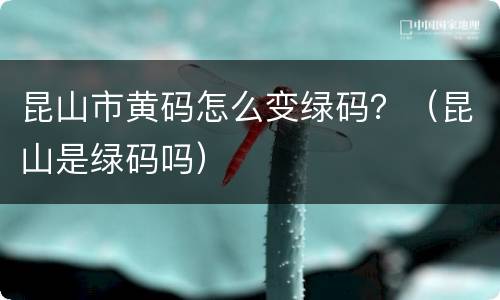 昆山市黄码怎么变绿码？（昆山是绿码吗）