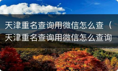 天津重名查询用微信怎么查（天津重名查询用微信怎么查询）