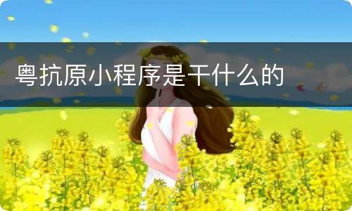 粤抗原小程序是干什么的