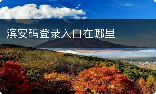滨安码登录入口在哪里