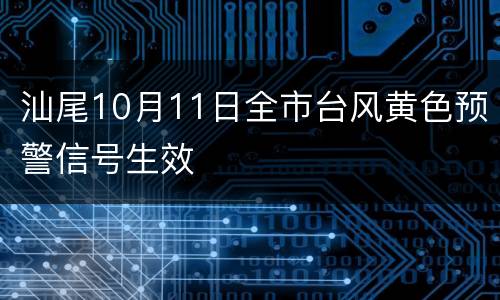 汕尾10月11日全市台风黄色预警信号生效