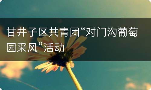 甘井子区共青团“对门沟葡萄园采风”活动
