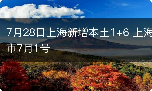 7月28日上海新增本土1+6 上海市7月1号
