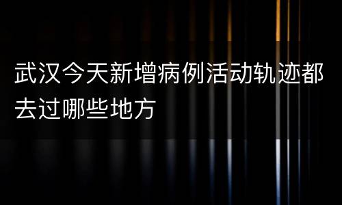 武汉今天新增病例活动轨迹都去过哪些地方